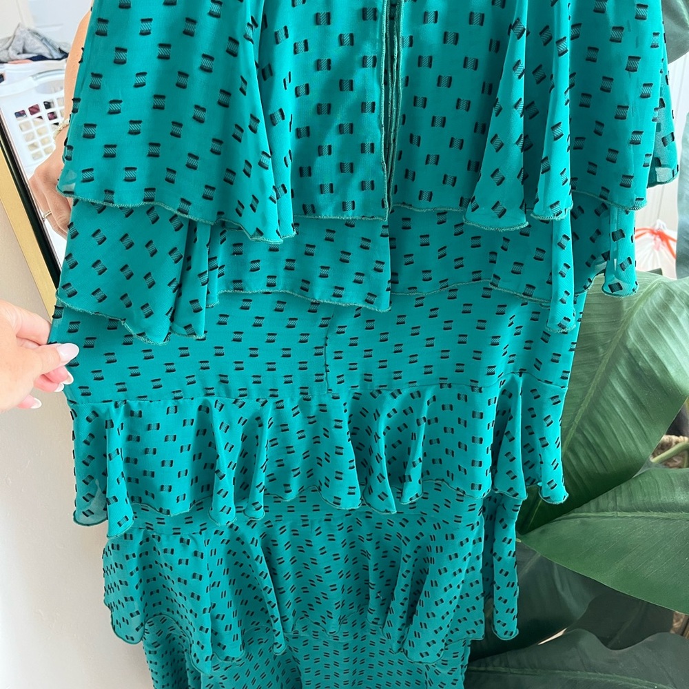 Tularosa Ruffled Maxi Dress - Picture 8 of 9